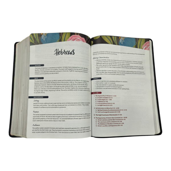 Niv the woman (13)