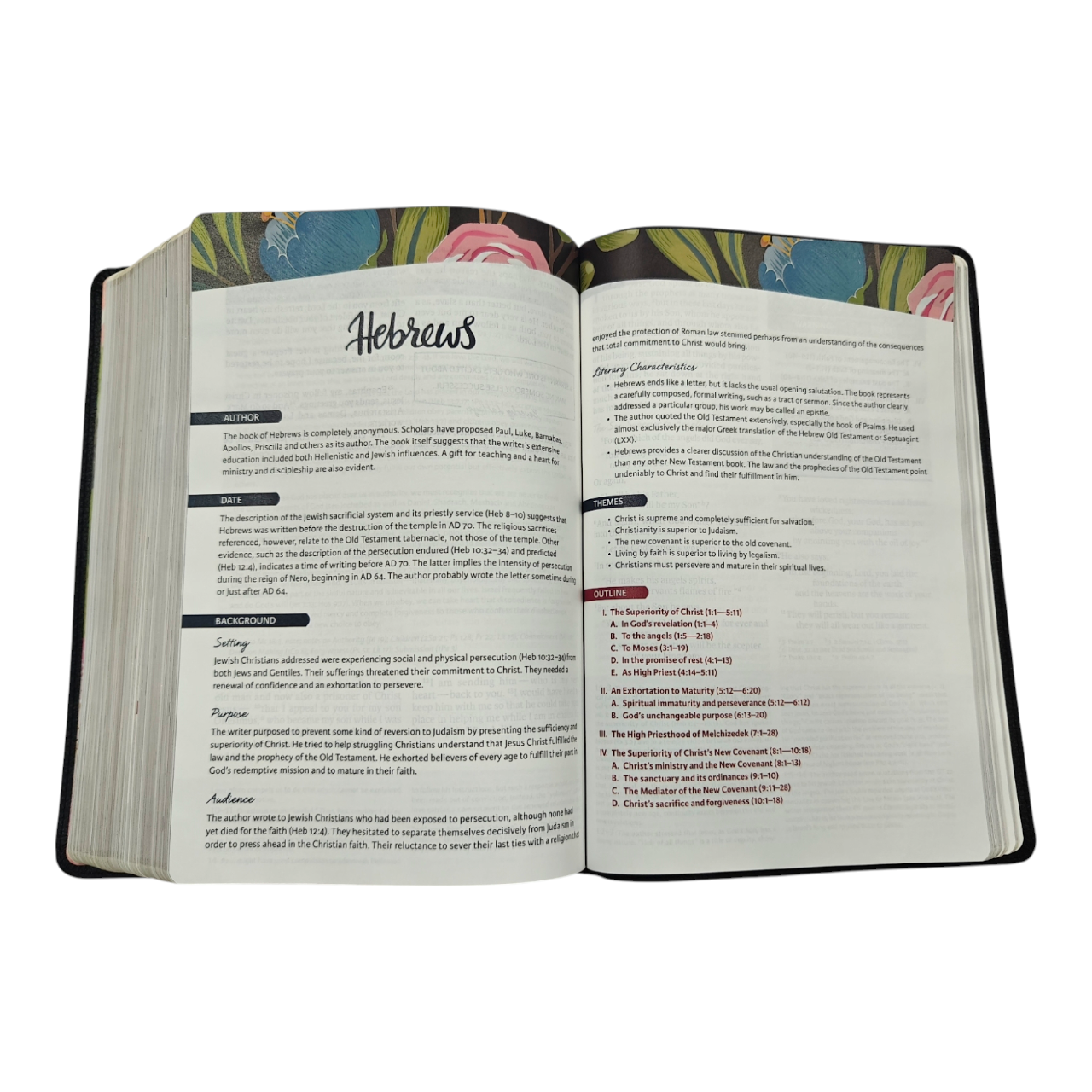 Niv the woman (13)