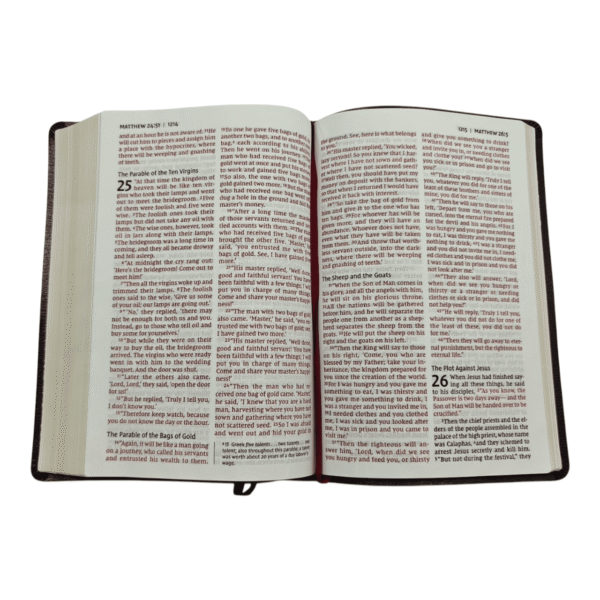 Niv thinline bible