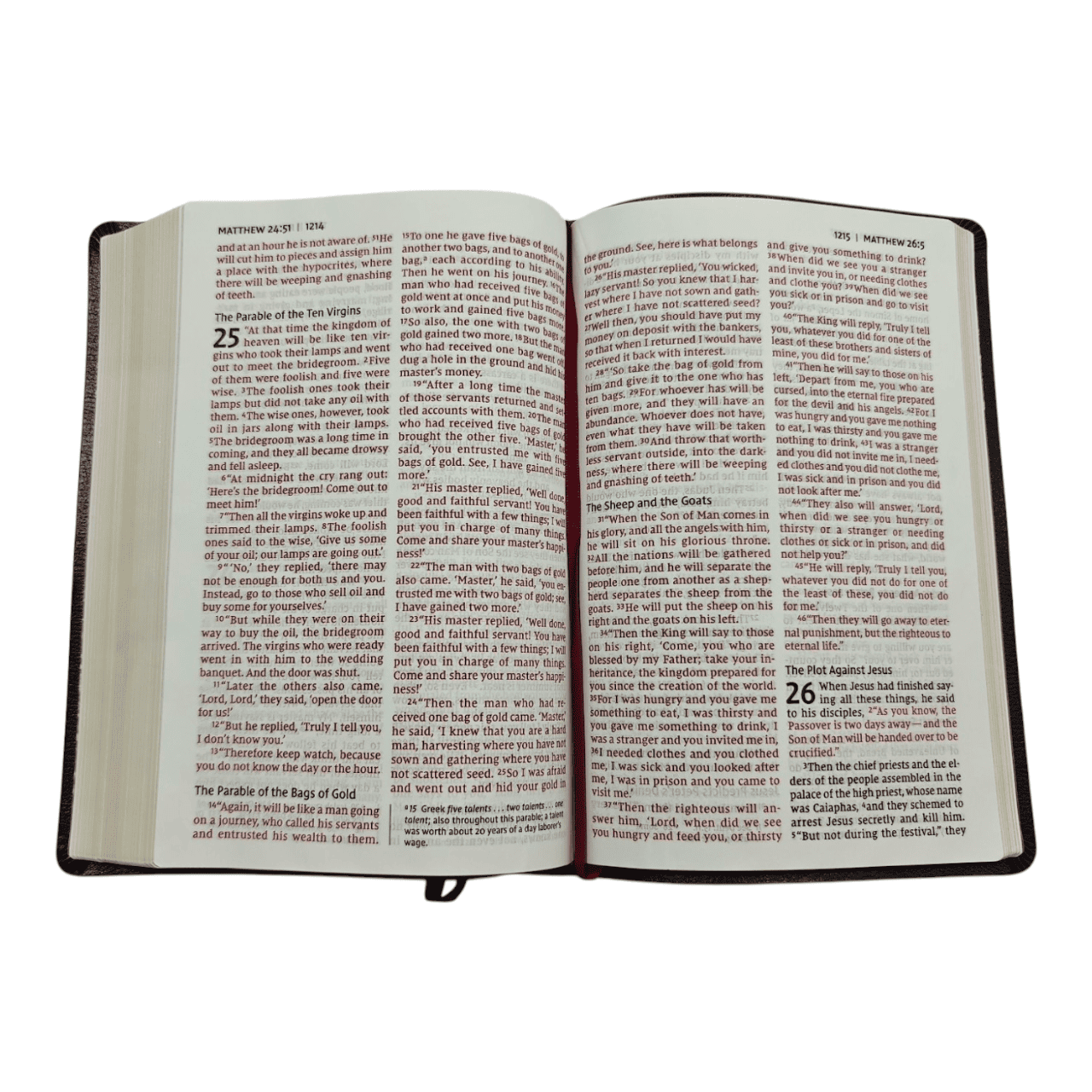 Niv thinline bible