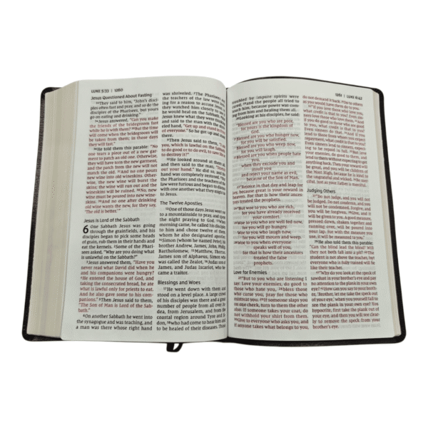 Niv thinline bible giant print (4)