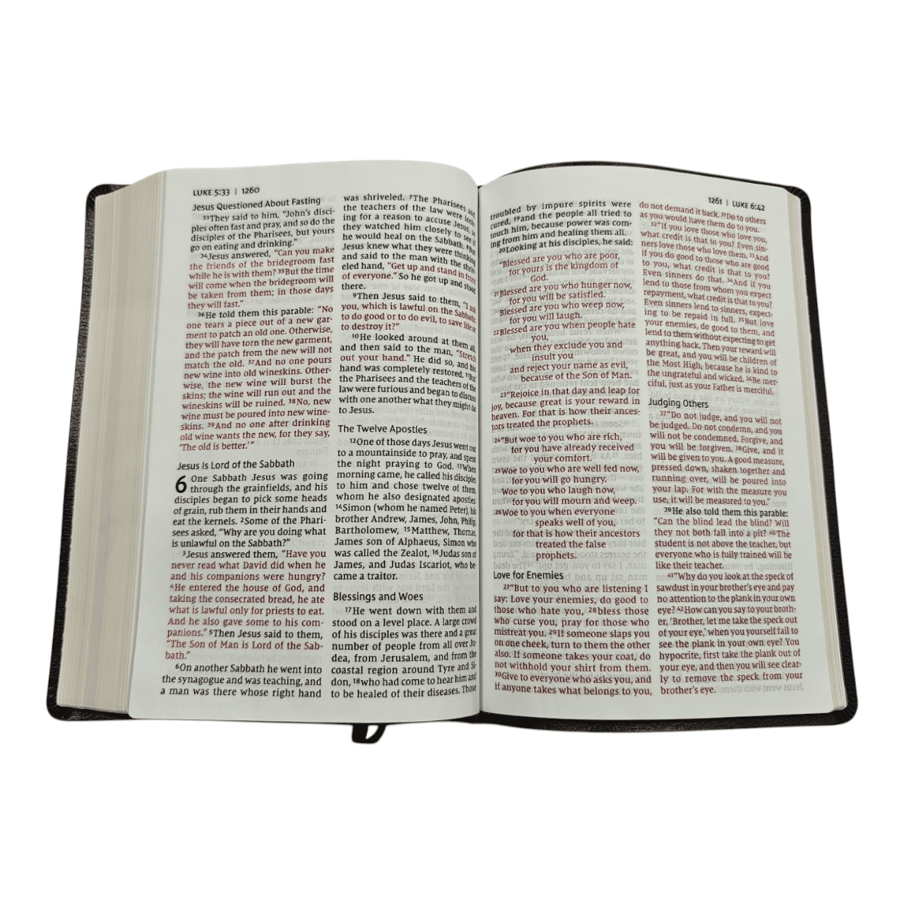 Niv thinline bible giant print (4)