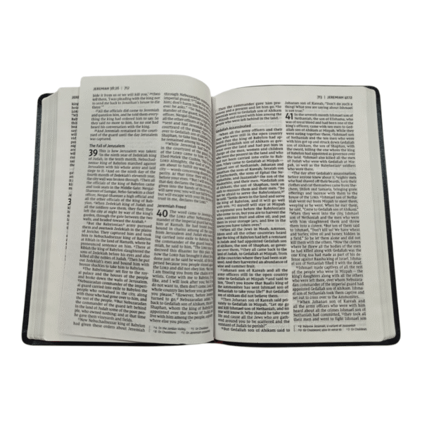 Niv thinline bible large print (4)