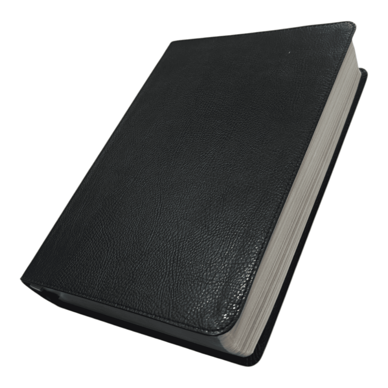 Niv thompson chain reference bible (4)