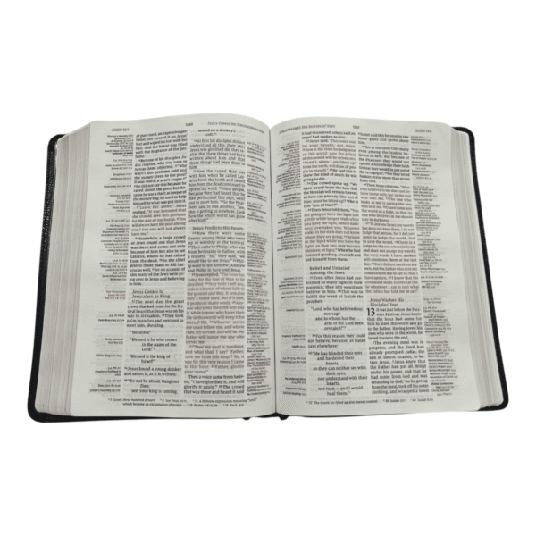 Niv thompson chain reference bible (6)