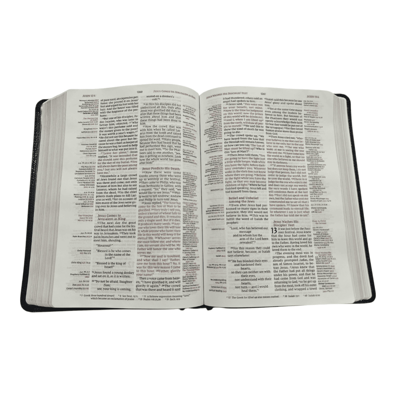 Niv thompson chain reference bible (6)