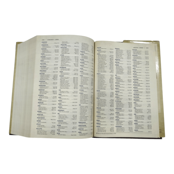 Nkjv cultural backgrounds study bible (14)