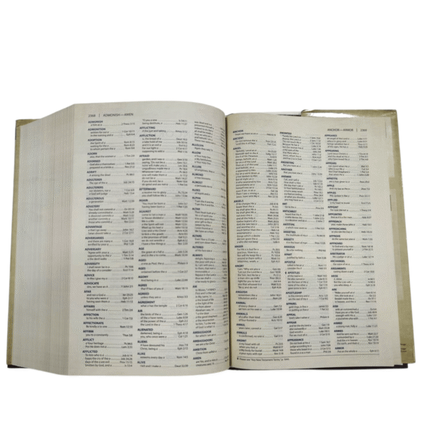 Nkjv cultural backgrounds study bible (15)