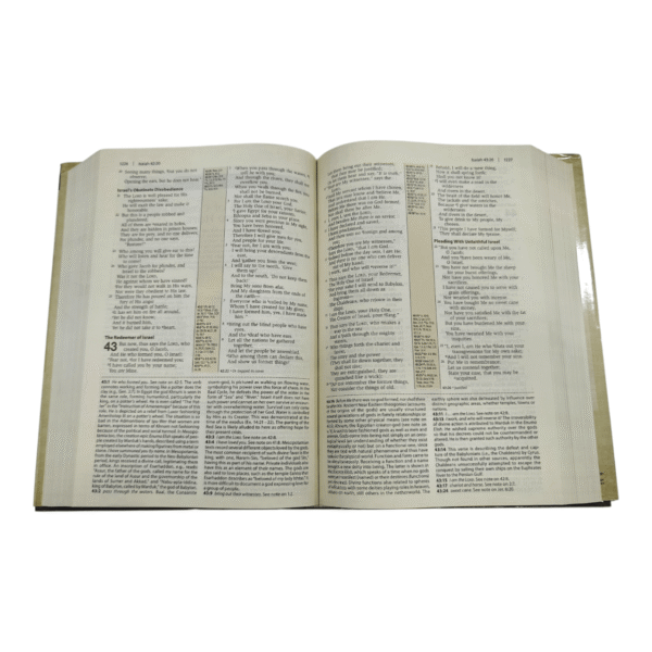 Nkjv cultural backgrounds study bible (4)