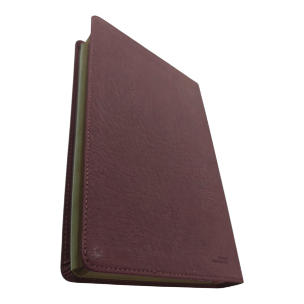 Nkjv deluxe gift bible (5)