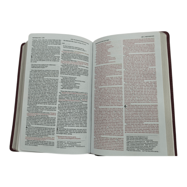 Nkjv deluxe gift bible (7)
