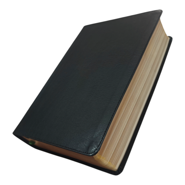 Nkjv evangelical study bible (5)