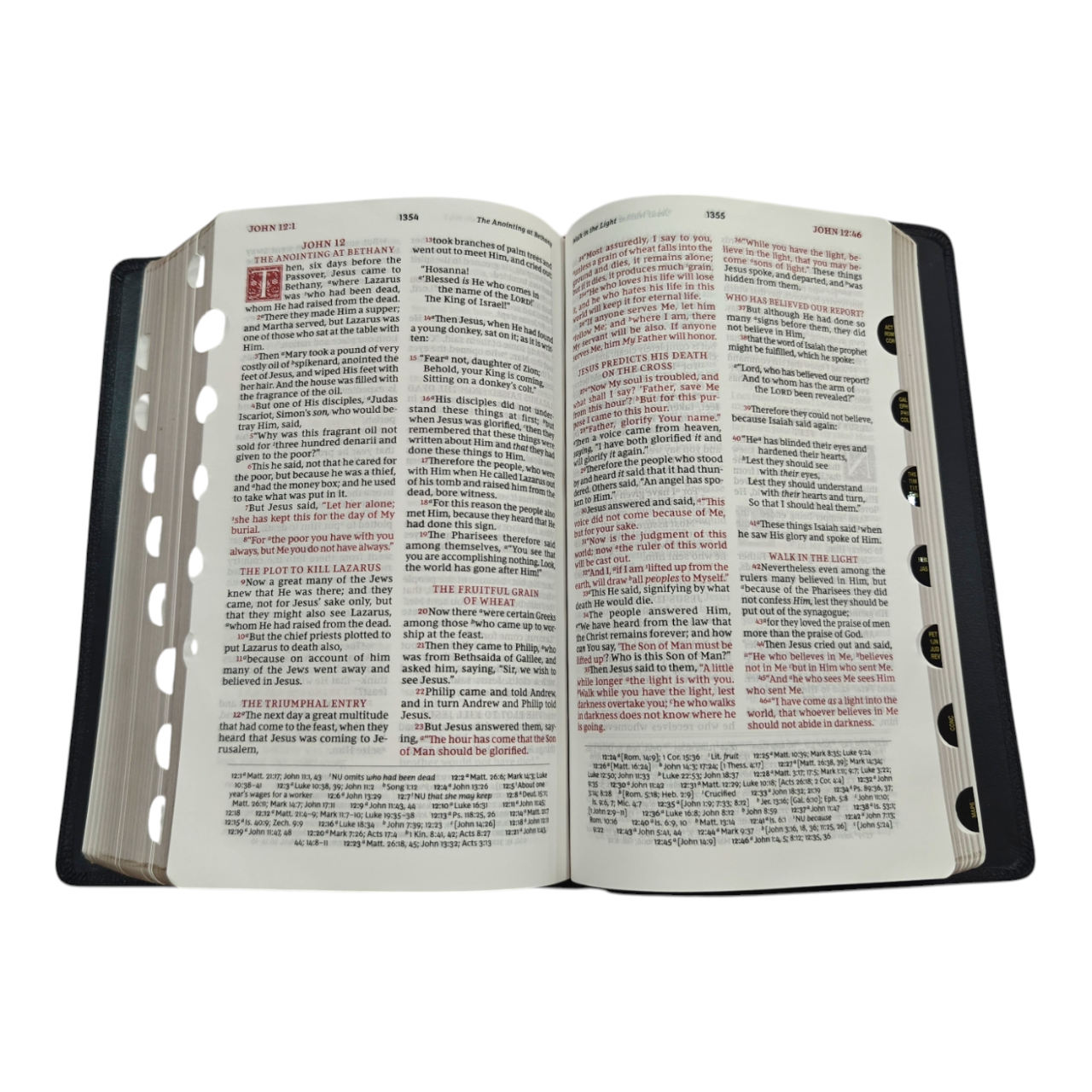 Nkjv sovereign 22 (10)