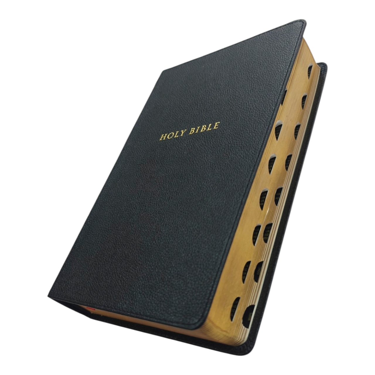 Nkjv sovereign 22 (5)