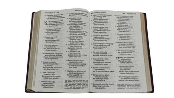 Nkjv super giant print reference bible burgundy (5)