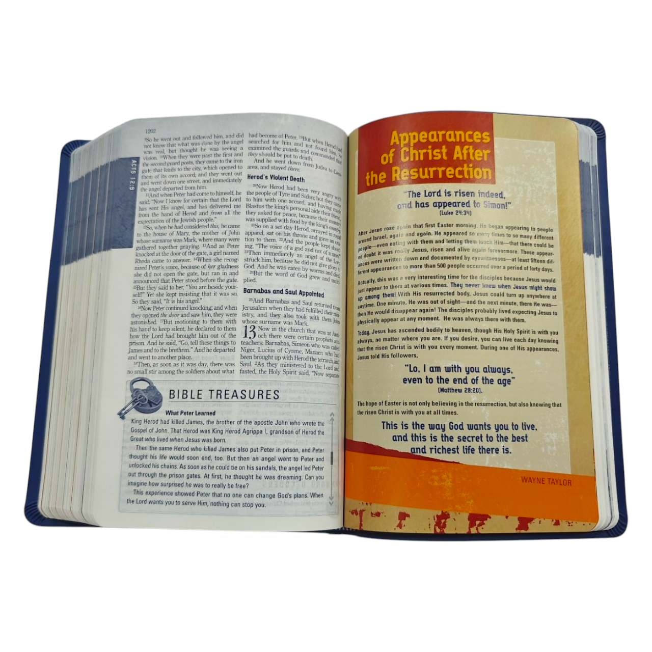 Nkjv the explorers 36 (10)