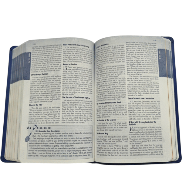 Nkjv the explorers 36 (9)