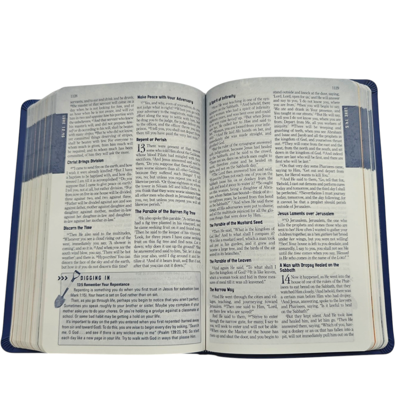 Nkjv the explorers 36 (9)
