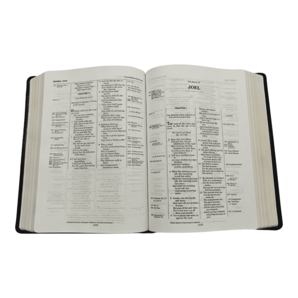 Nkjv thompson