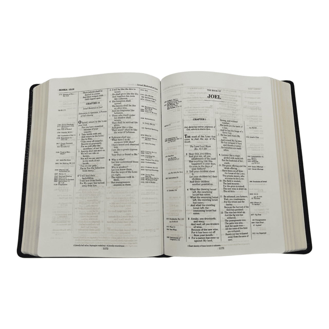 Nkjv thompson