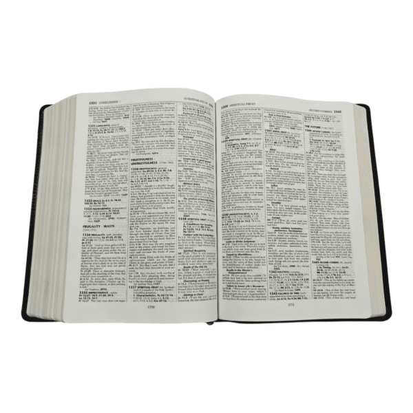 Nkjv thompson