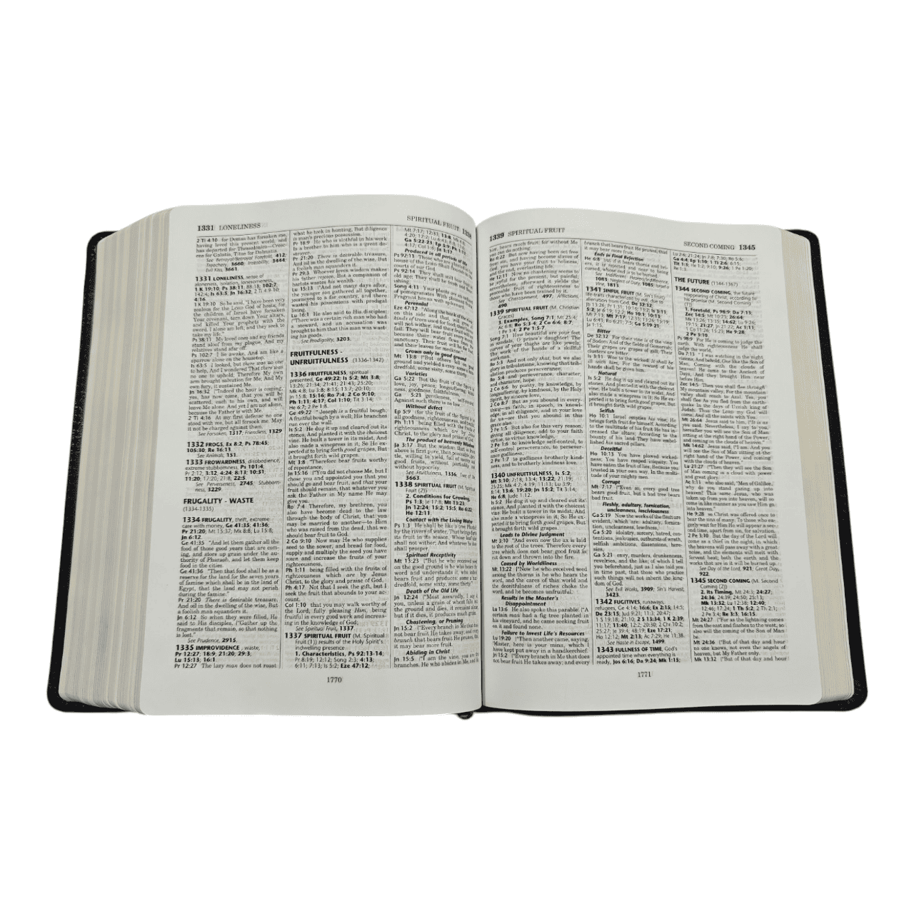 Nkjv thompson