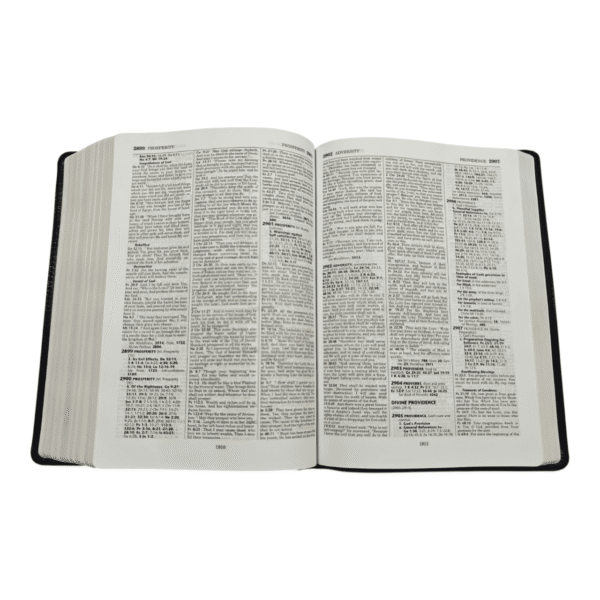 Nkjv thompson chain reference bible (6)