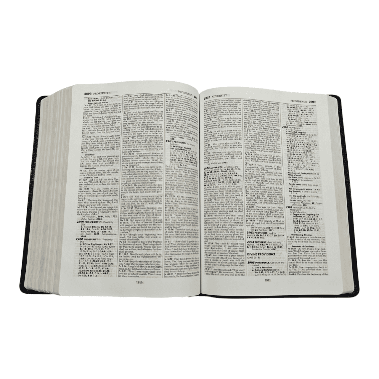 Nkjv thompson chain reference bible (6)