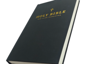 Nlt bible 56 (2)