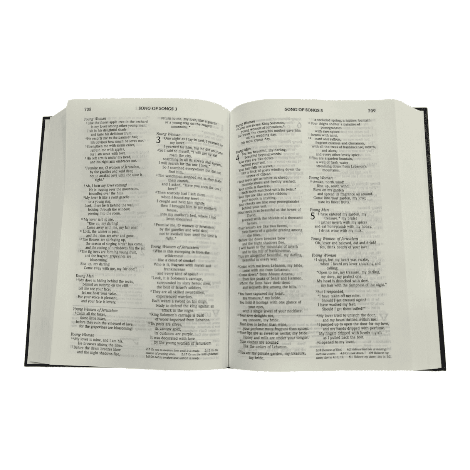 Nlt topical study bible (3)