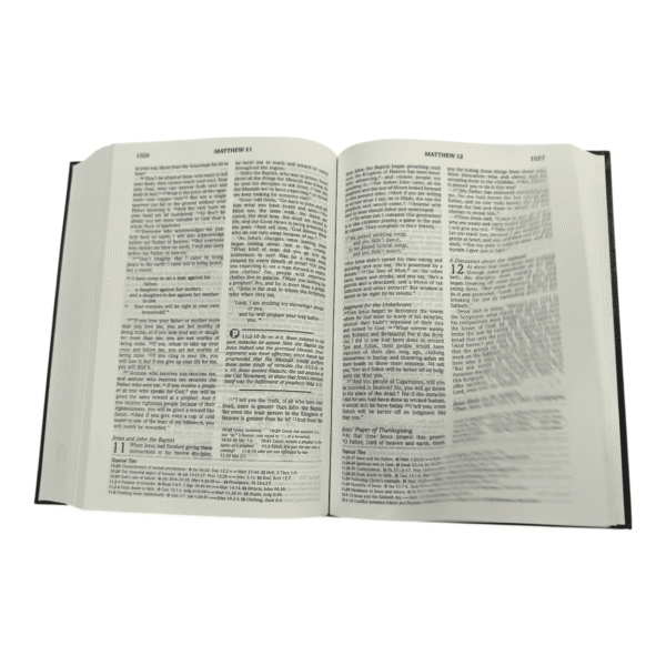 Nlt topical study bible (5)