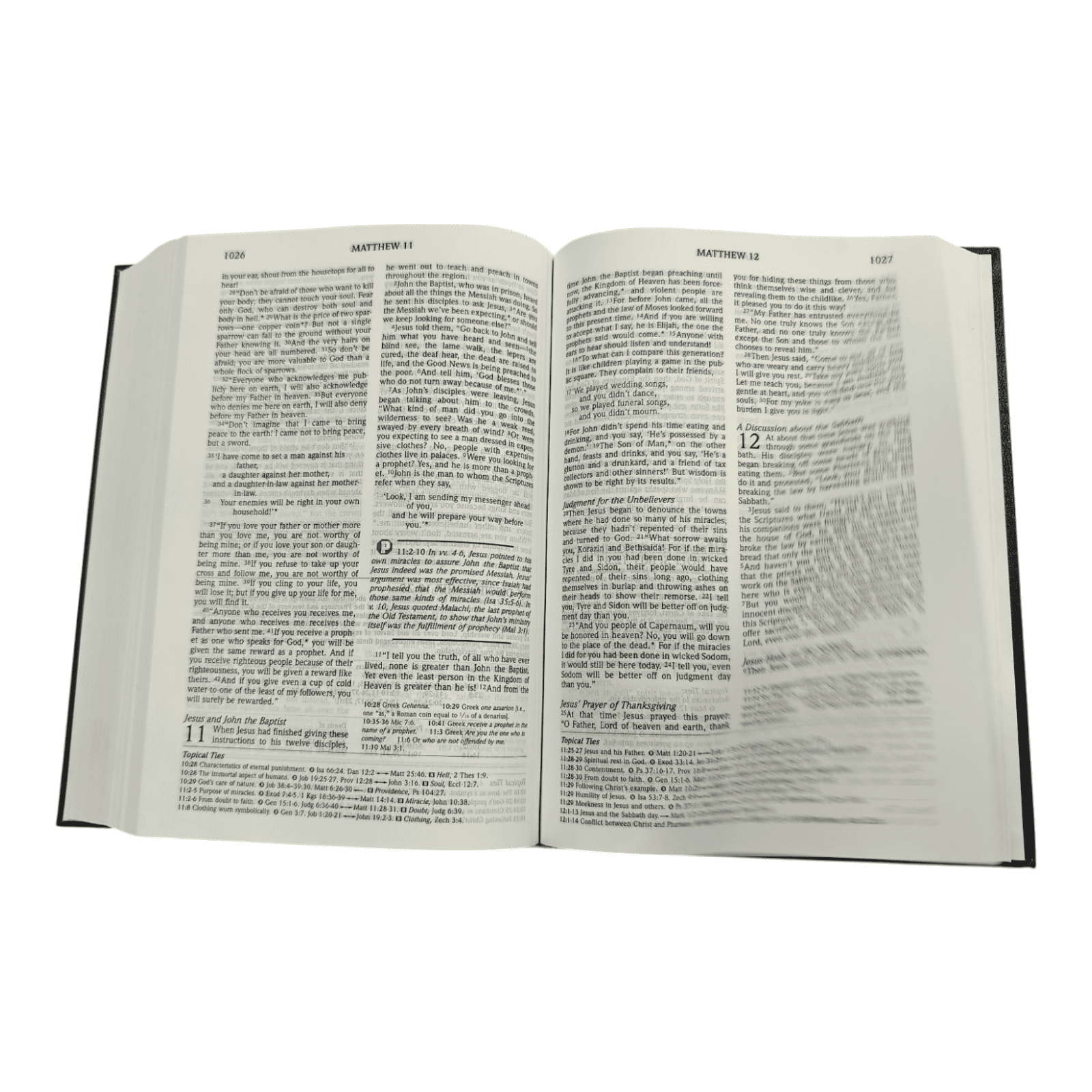 Nlt topical study bible (5)