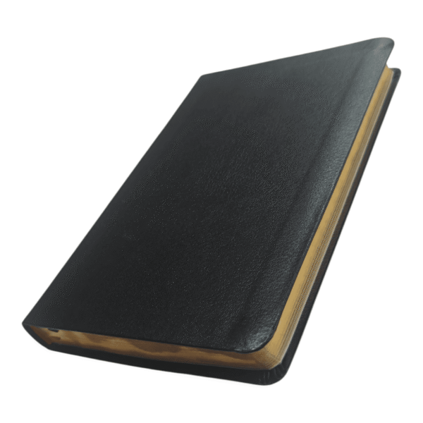New american nasb thinline bible standard bible (3)