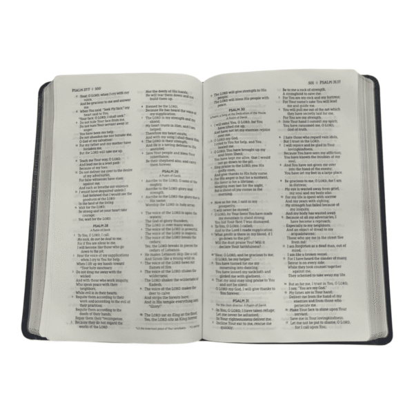New american nasb thinline bible standard bible (4)