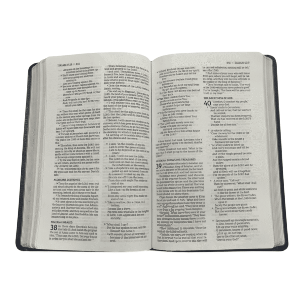 New american nasb thinline bible standard bible (5)