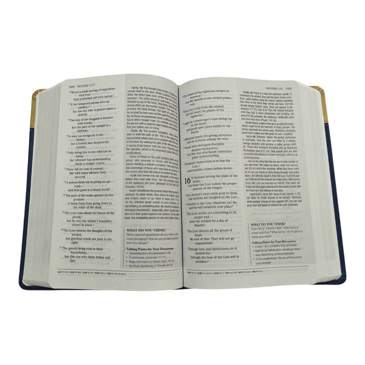 NIV Standard Lesson Study Bible, Hardcover | Based on the Standard Lesson Commentary - Image 4