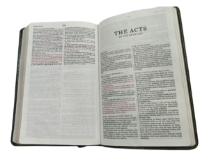 KJV BIBLE