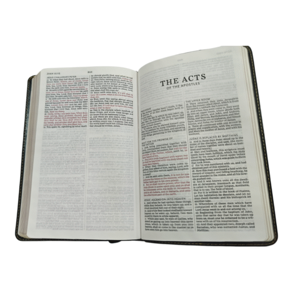 KJV BIBLE