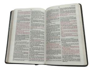 KJV BIBLE