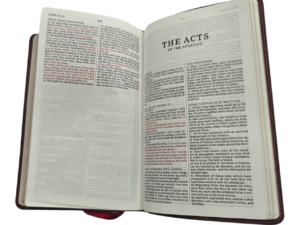 KJV BIBLE