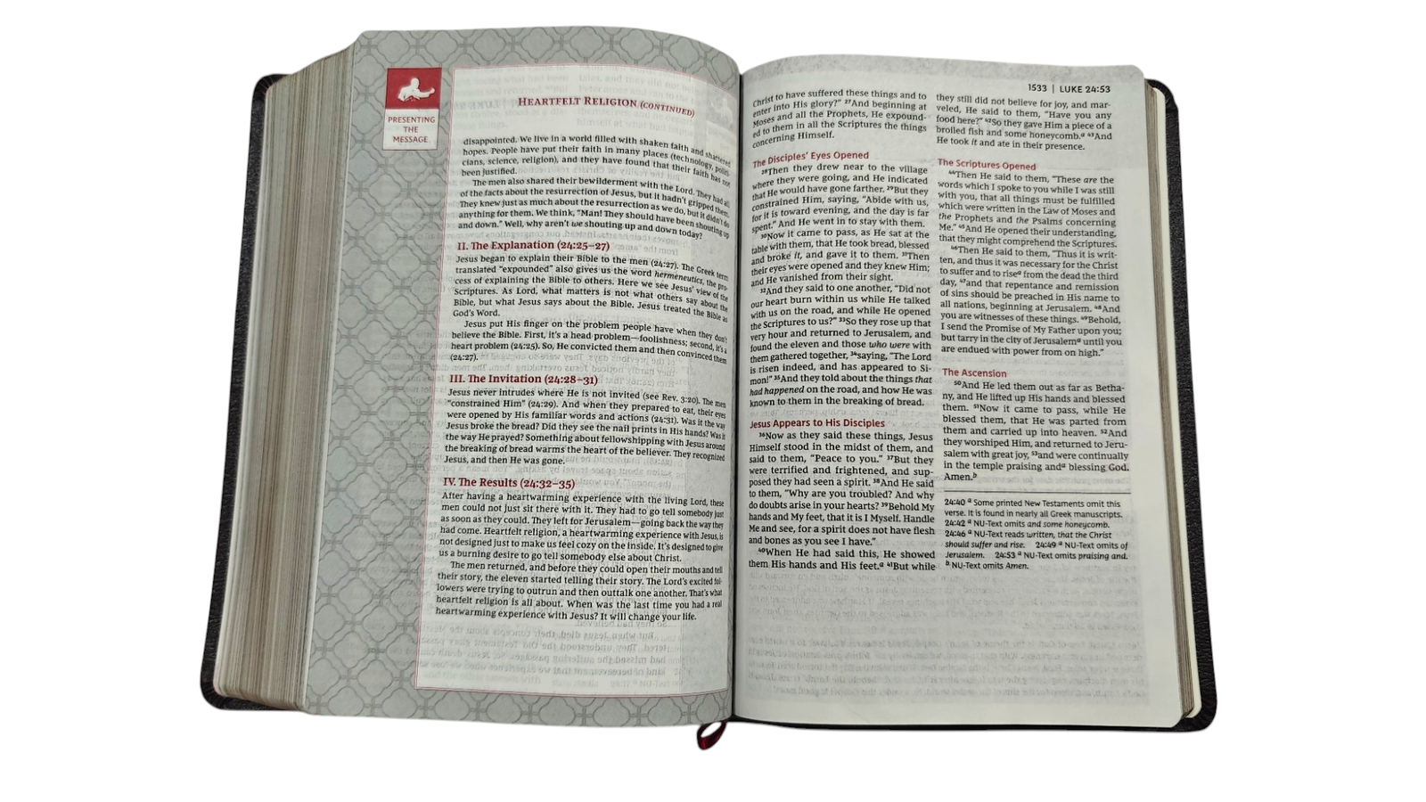 Photoroom 20250926 145100 7