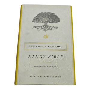 Systematic theology 35 (1)