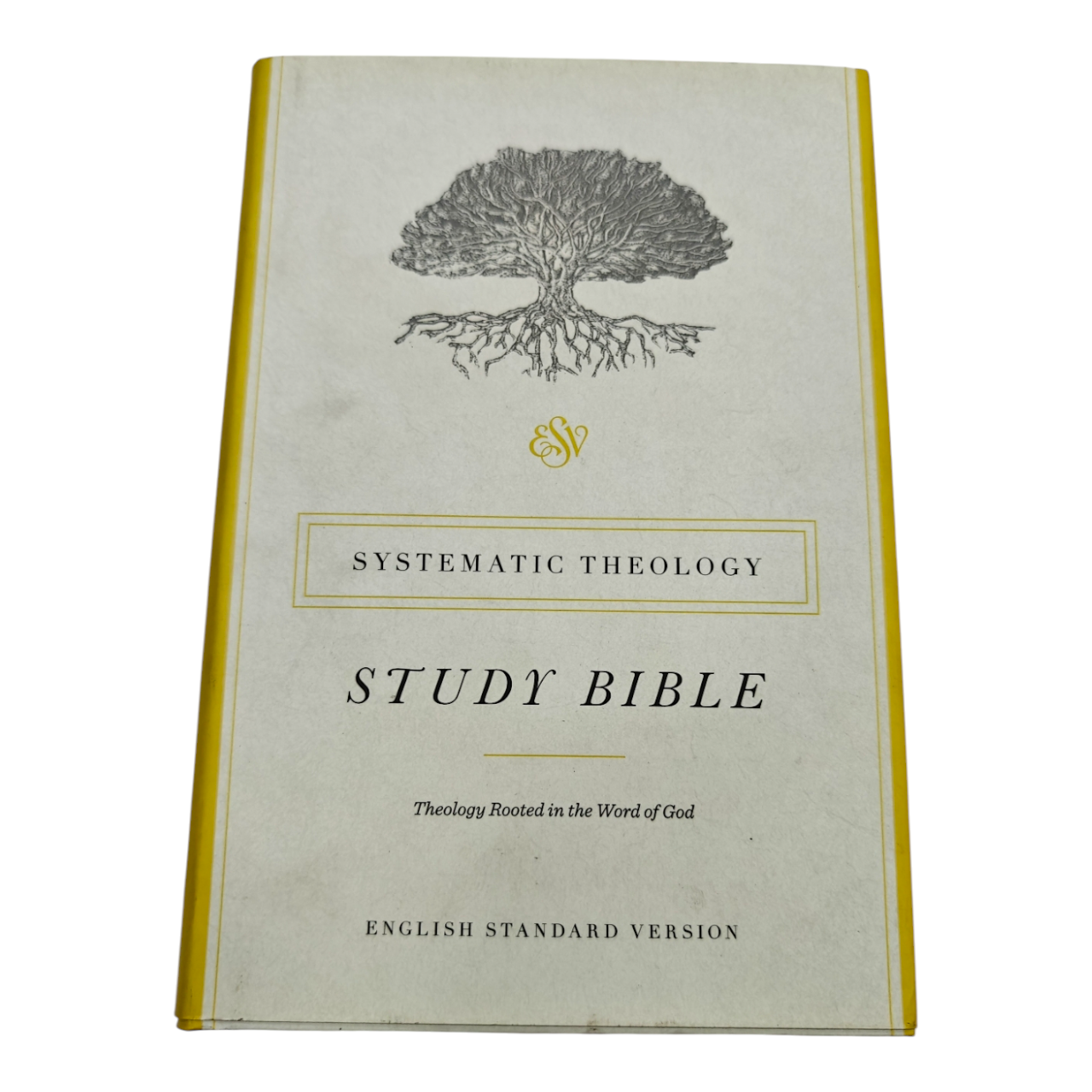Systematic theology 35 (1)