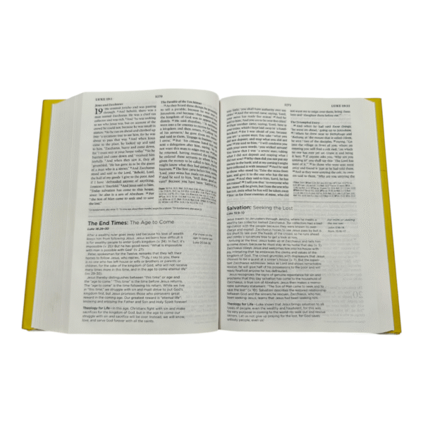 Systematic theology 35 (4)