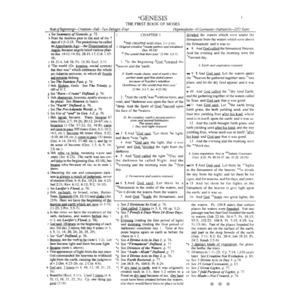 The dark kjv 768 (1)