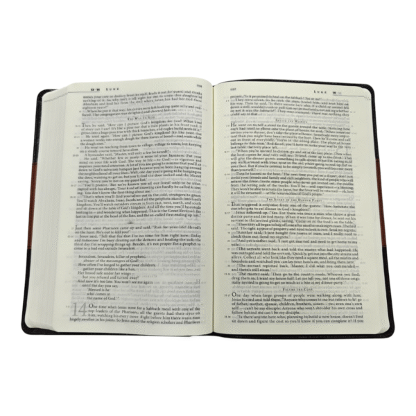 The meassage 317 (7)