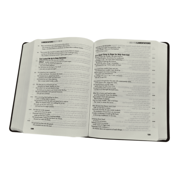 Themessage contemporary language remix tm edition (4)
