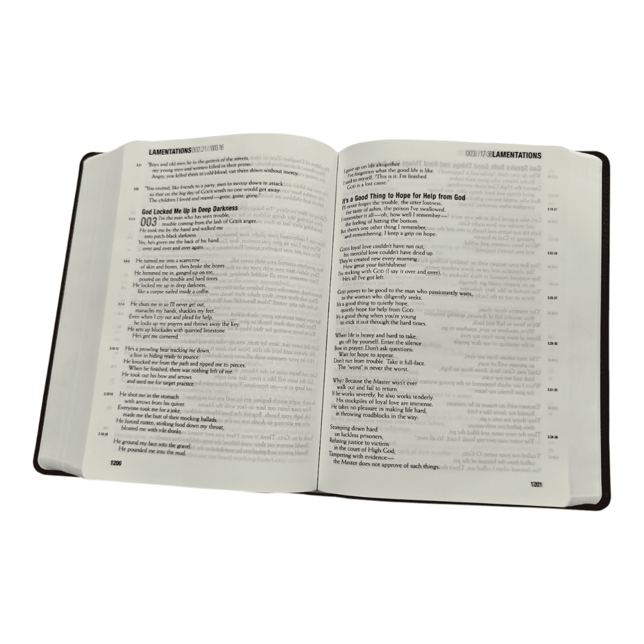 Themessage contemporary language remix tm edition (4)