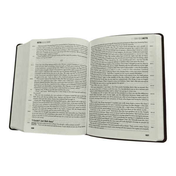 Themessage contemporary language remix tm edition (5)
