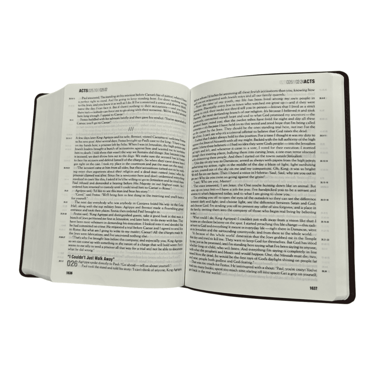Themessage contemporary language remix tm edition (5)